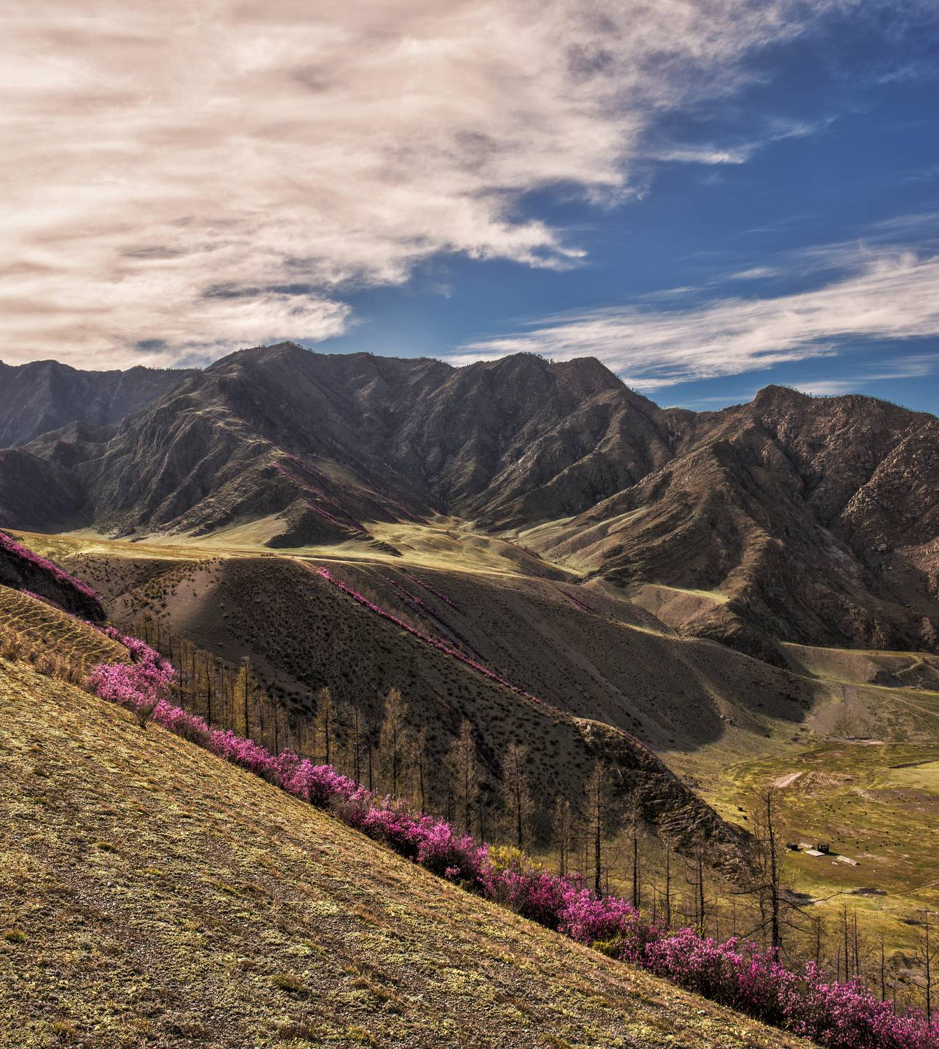 , Юдинских Марина