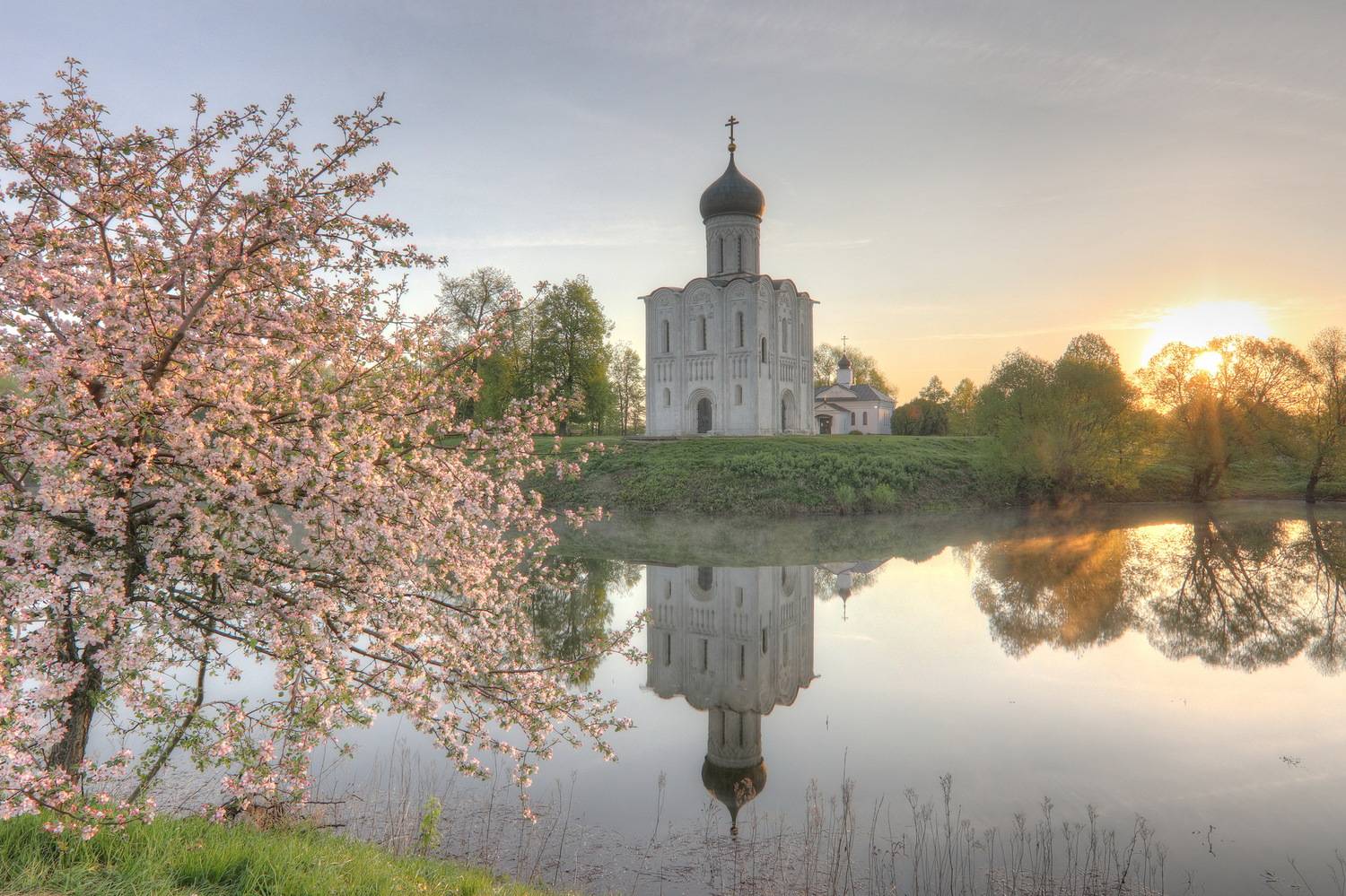 храм покрова на нерли, Добролюбова Тамара