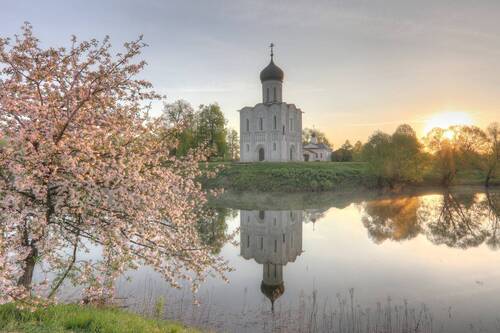 Яблоня расцвела