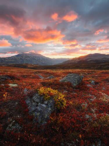 Однажды утром на Камчатке