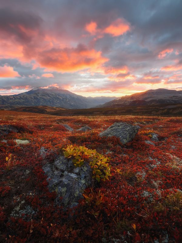 камчатка, осень Однажды утром на Камчатке фото превью
