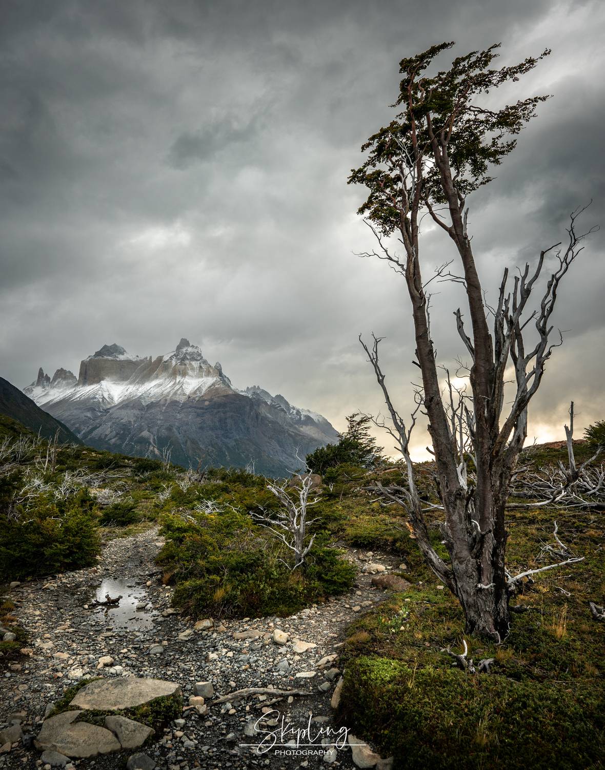 патагония, Ганюшкин Владимир