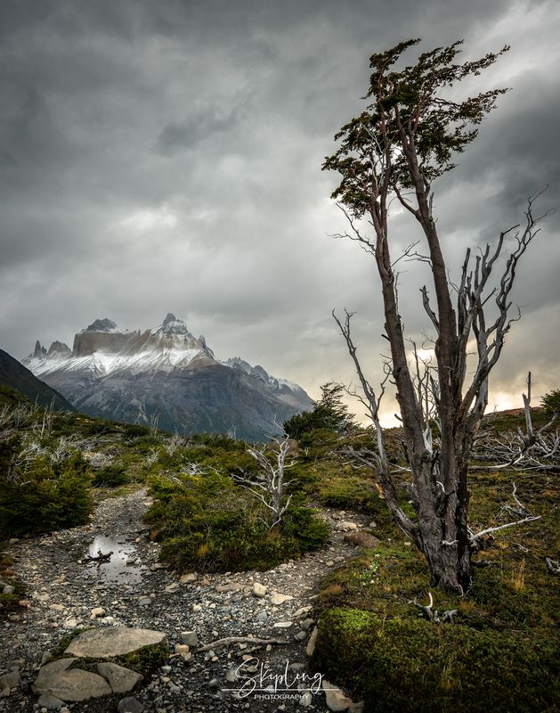 патагония Дождливый день фото превью