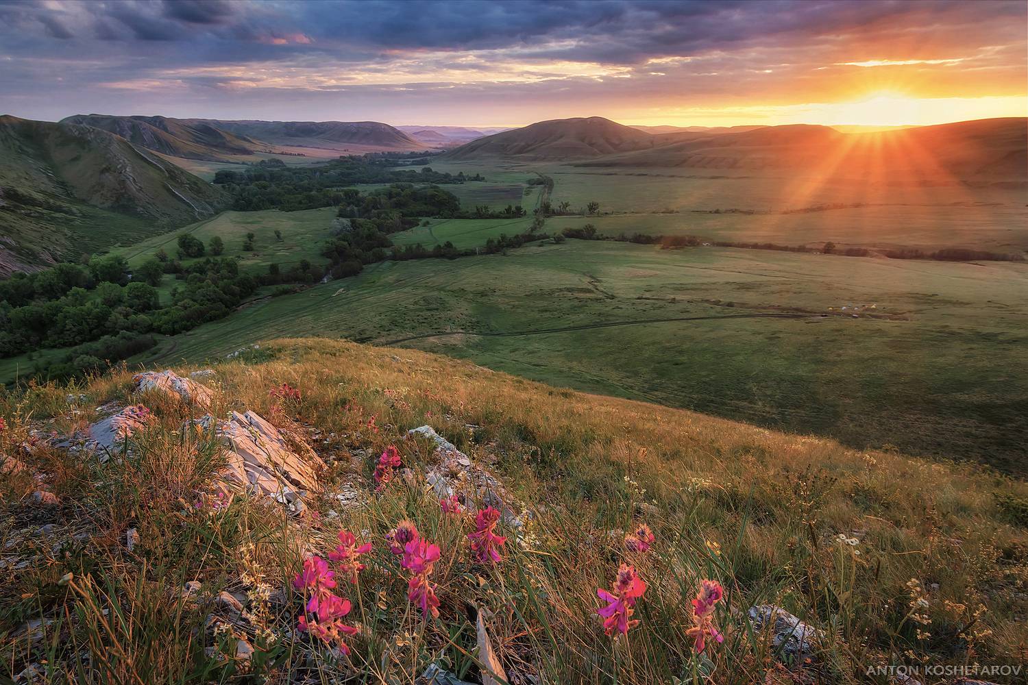 , Антон Кошетаров