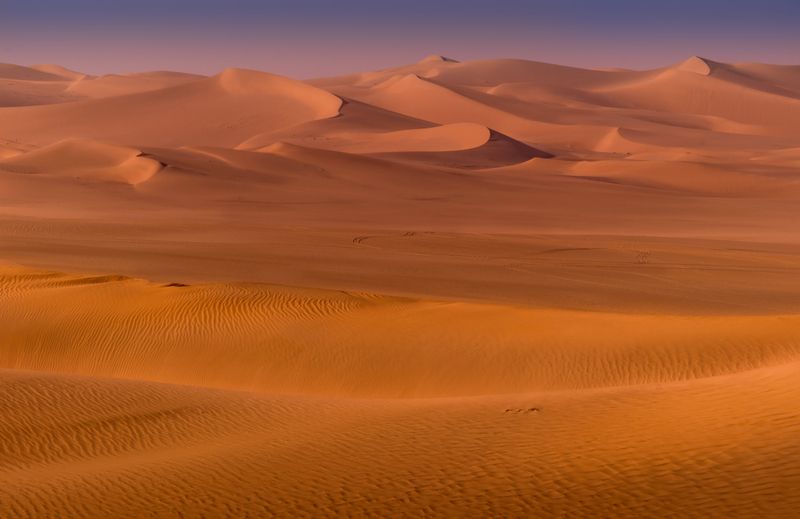 алжир, сахара, alger 2025, нд, пустыня, algeria, sahara, desert, тассилин-аджер, африка, дюны, tassilin-ajer, africa, dunes, пыль, dust Жара фото превью