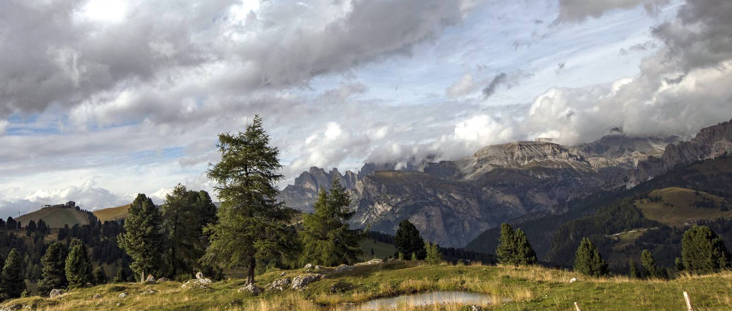 , Валентина Булкина