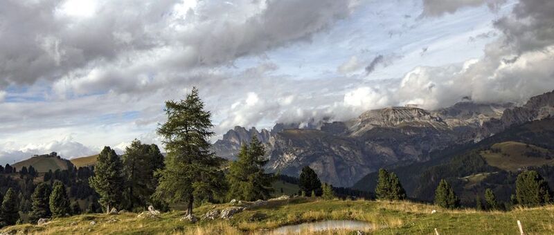 ***** фото превью