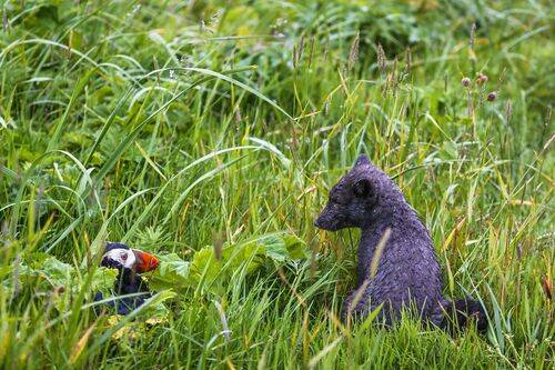 Поговорим о жизни?