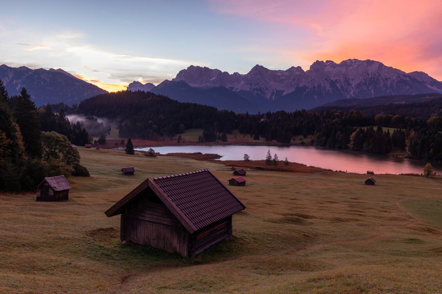 , Евгения Чех