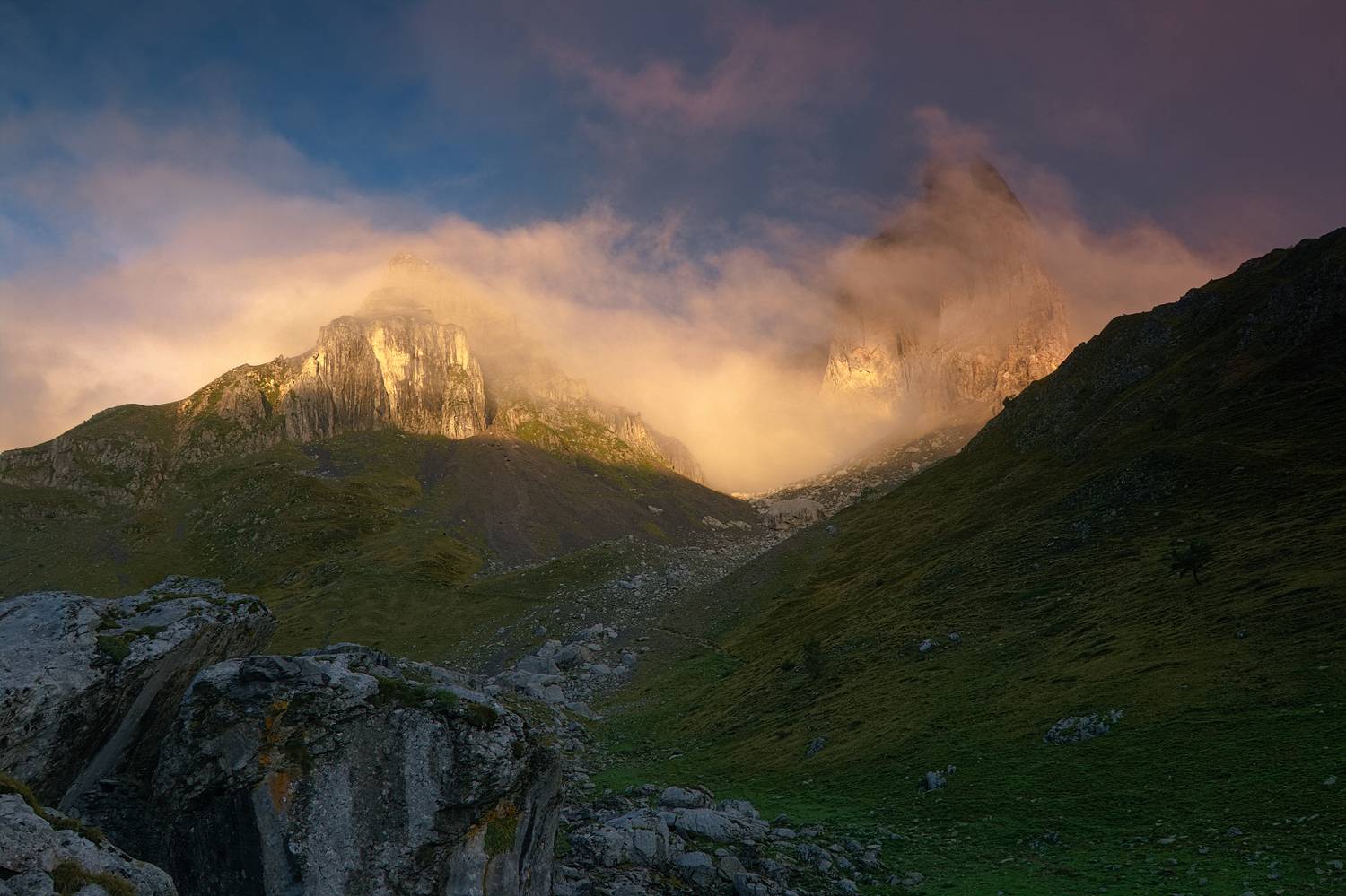 , Wojciech Tarnowski