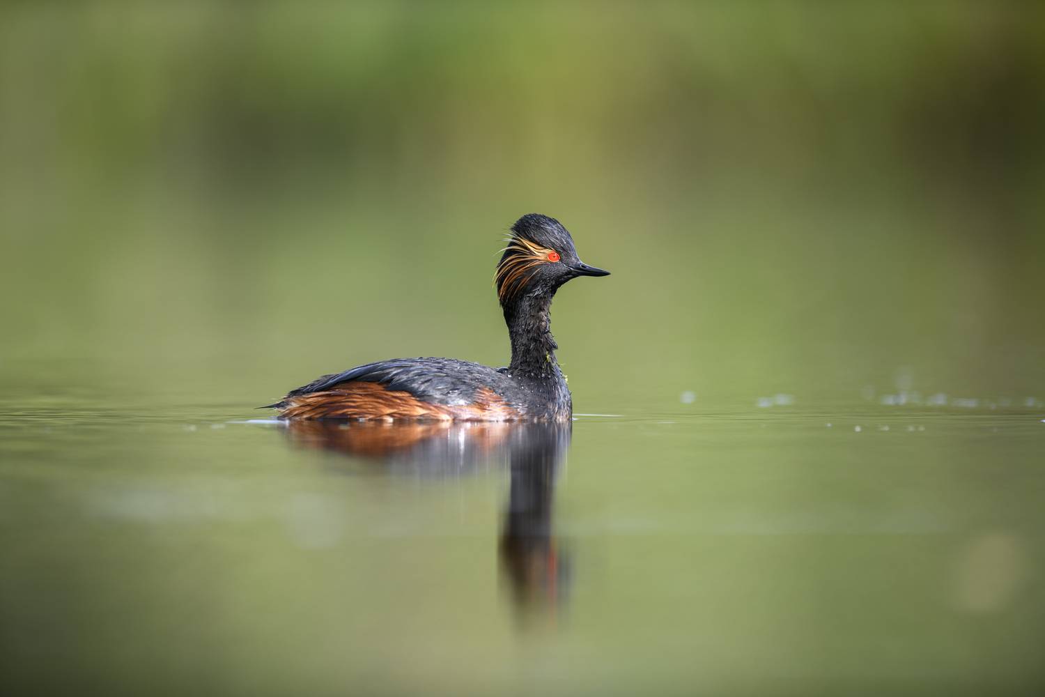 , Пупонин Сергей