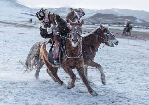 Mongolian eagle hunting festival
