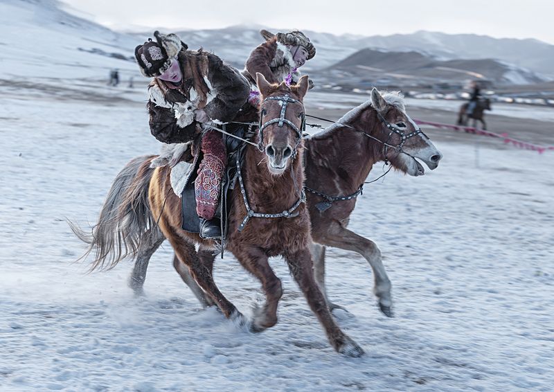 Mongolian eagle hunting festival Mongolian eagle hunting festival фото превью