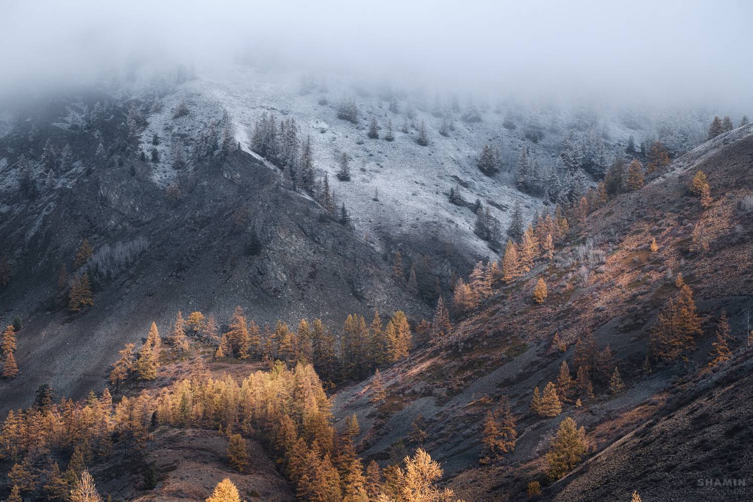 , Константин Шамин