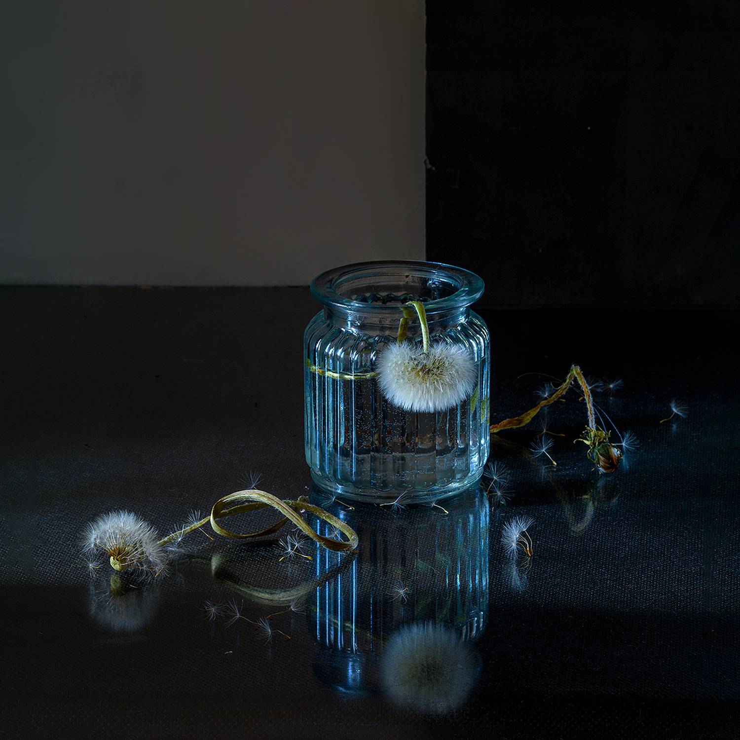 одуванчики, отражение, банка, вода, пузырьки, увядание, Алексей Бычков