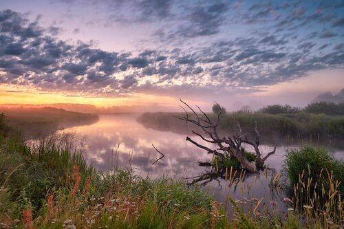Нёман. Июльское утро 2020-го