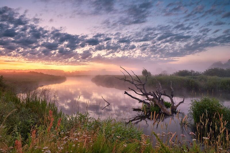 беларусь, июль, лето, неман, облака, отражение, рассвет, река, туман, утро Нёман. Июльское утро 2020-го фото превью