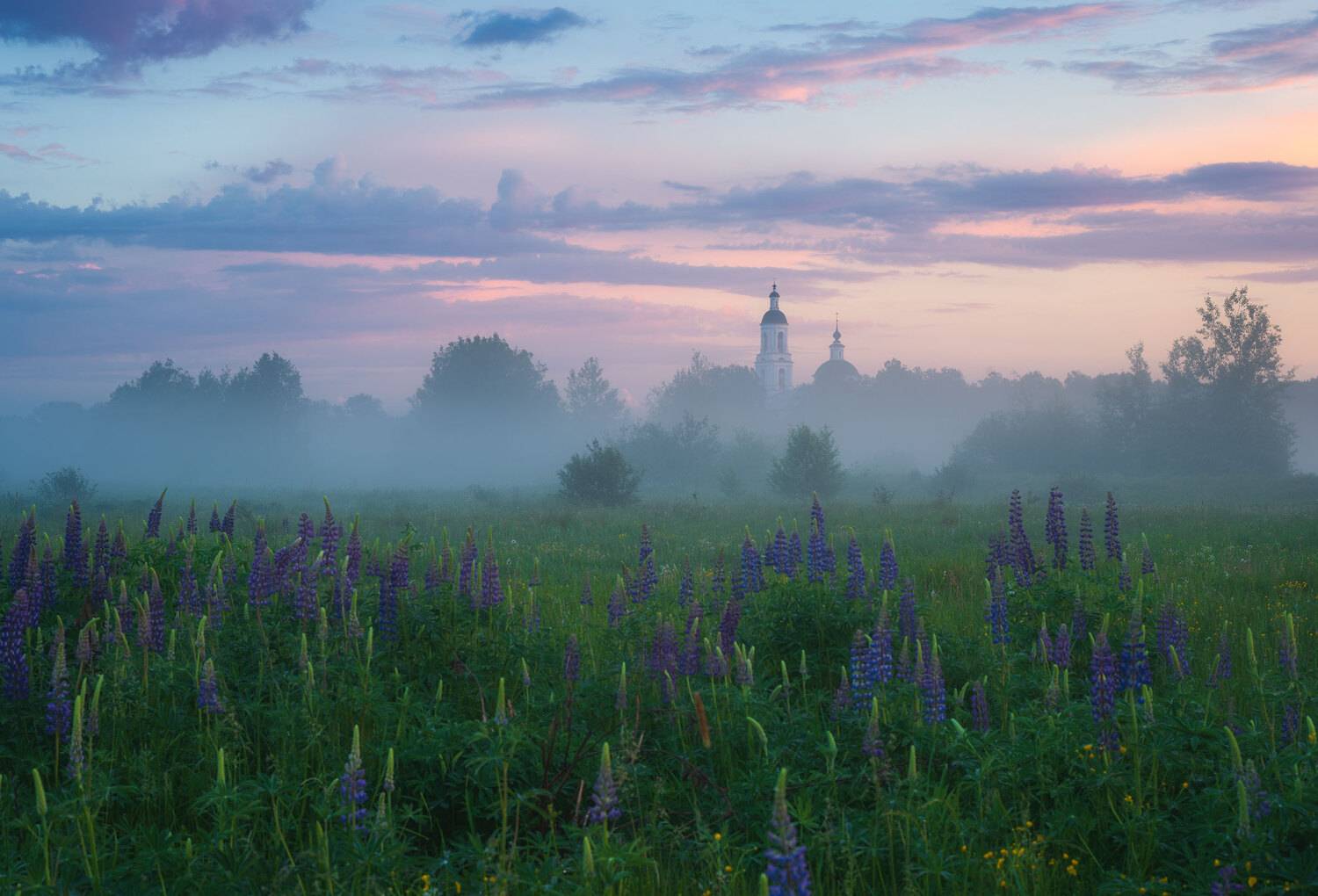 , Виталий Левыкин