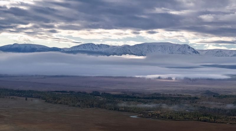 Сиреневый туман фото превью