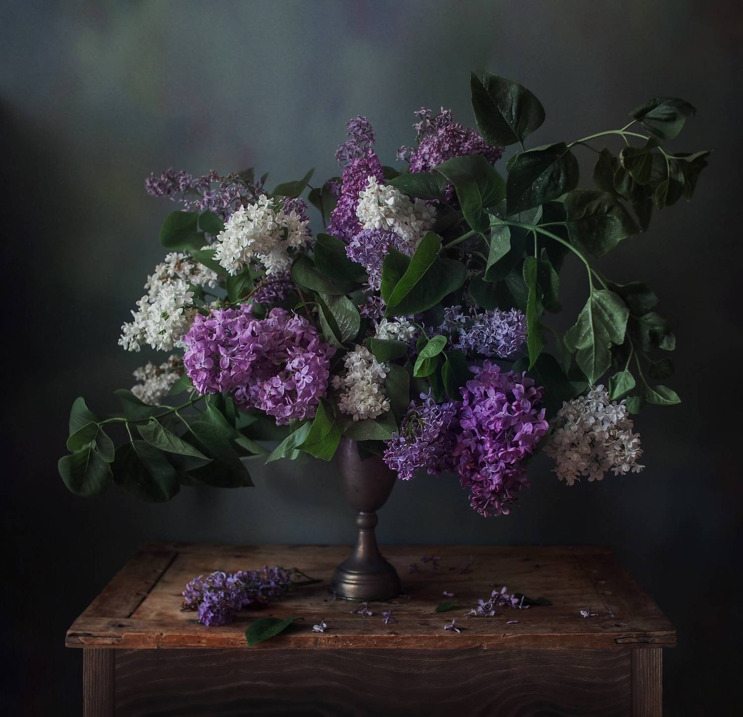 , Inyusheva Svetlana