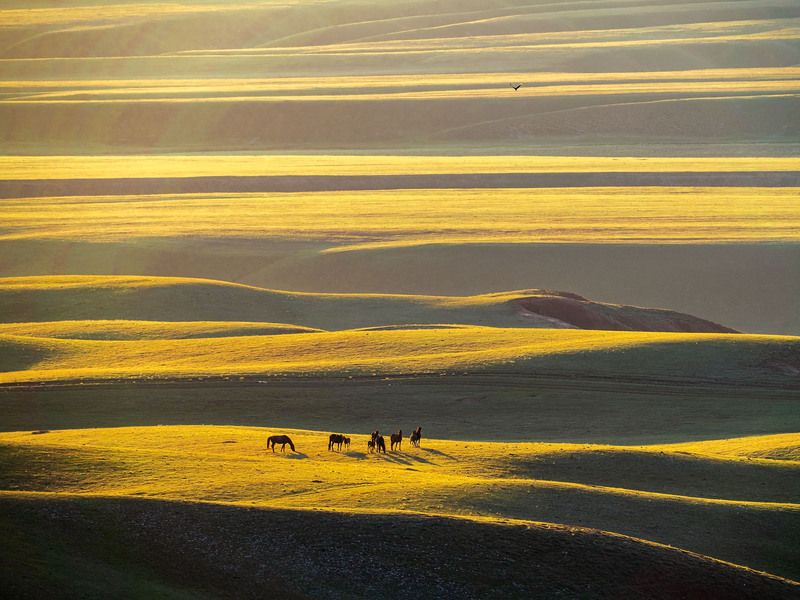 Утро на лугах фото превью