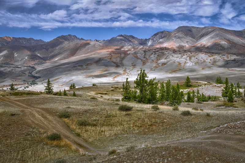 У подножия Курайского хребта . фото превью