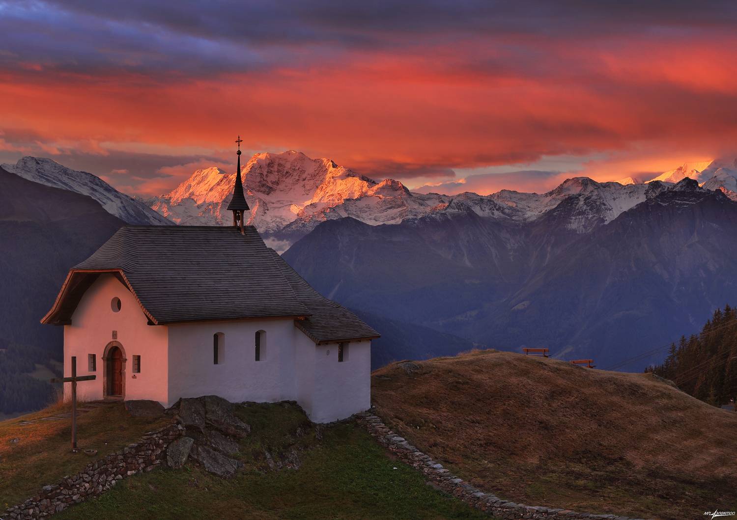 swiss, Матвеев Николай