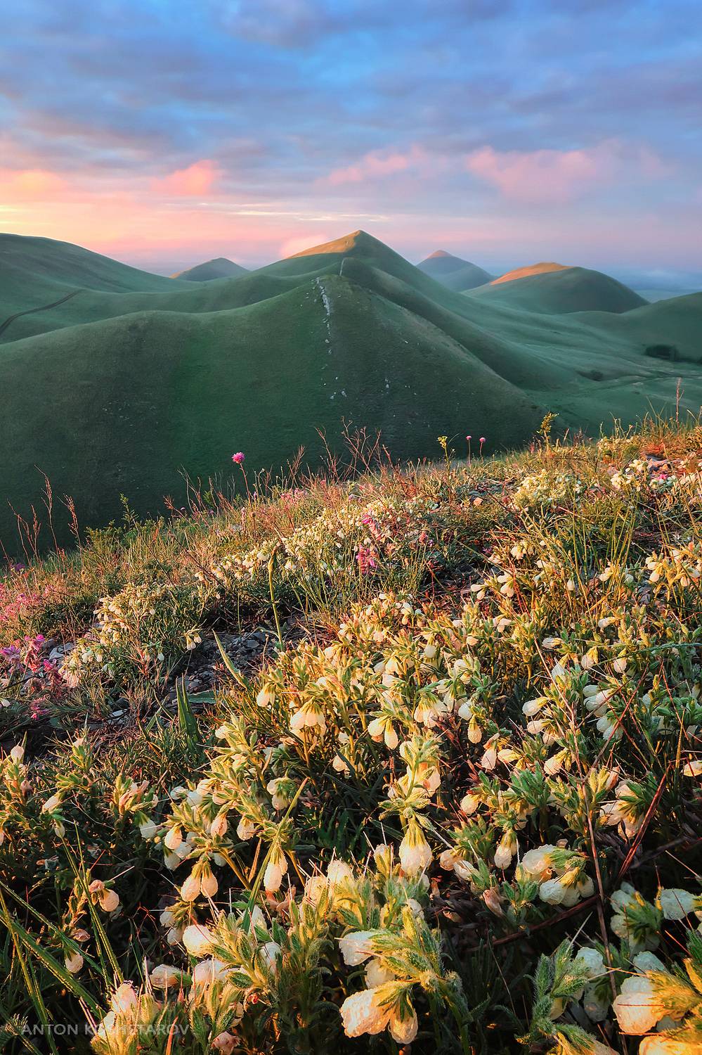 , Антон Кошетаров