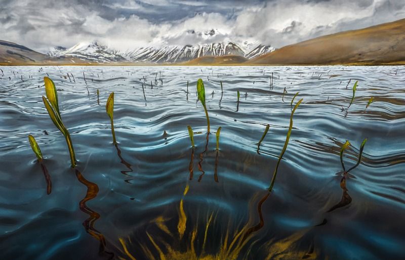 kraken фото превью