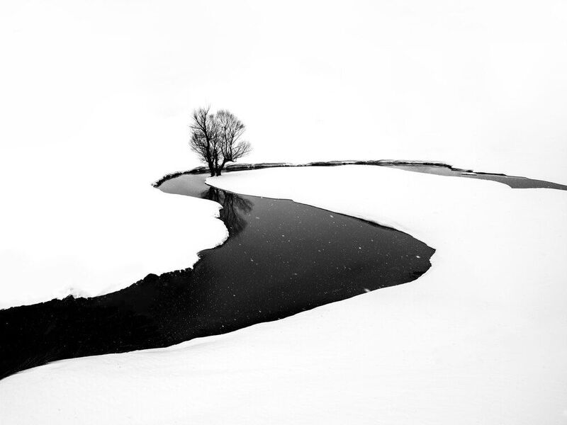 Winter and trees фото превью