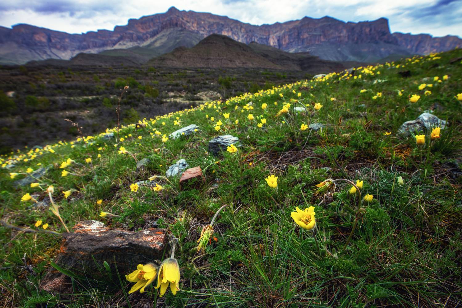 , Гуринович Дмитрий