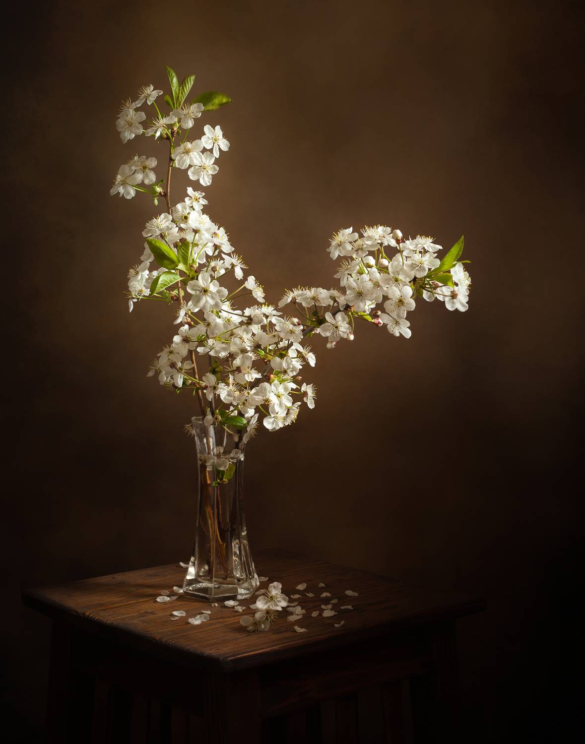 , Хвойнова Елена