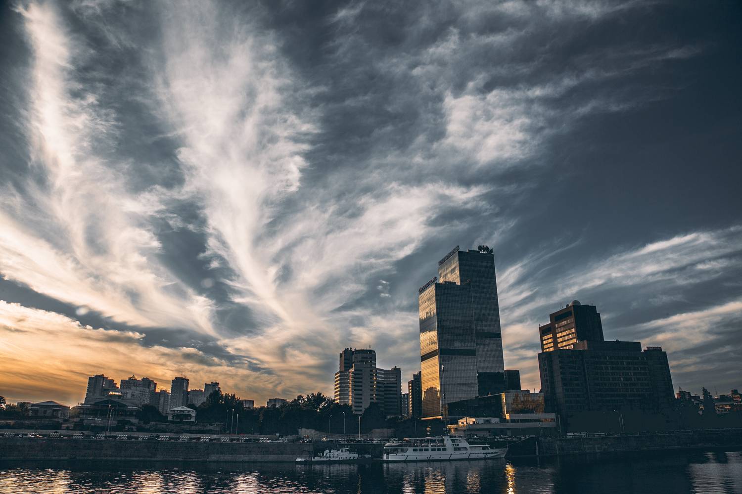 , Трепольский Дмитрий