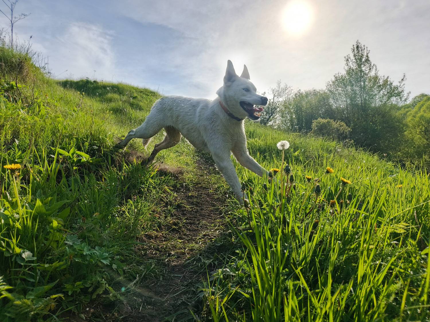 , Кондрашова Светлана