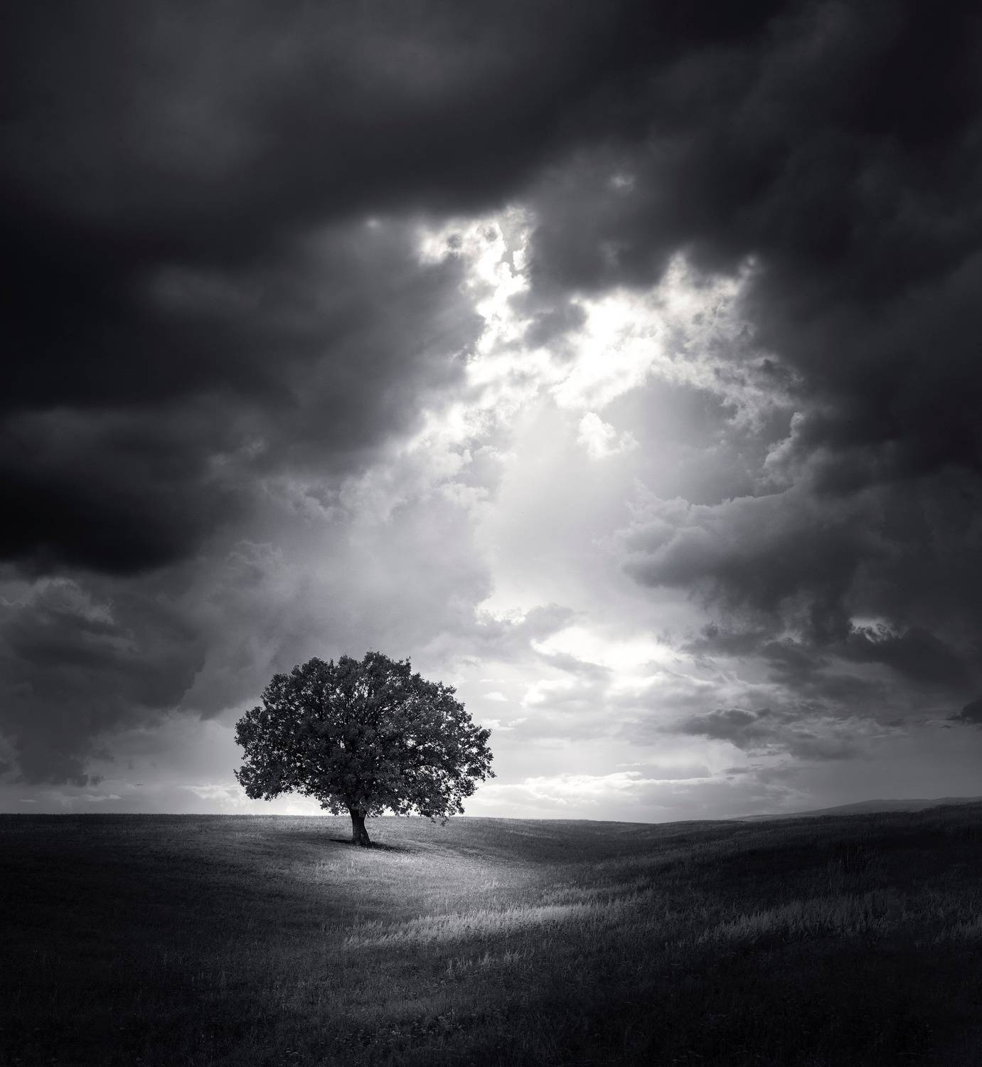 , Татьяна Бирюкова