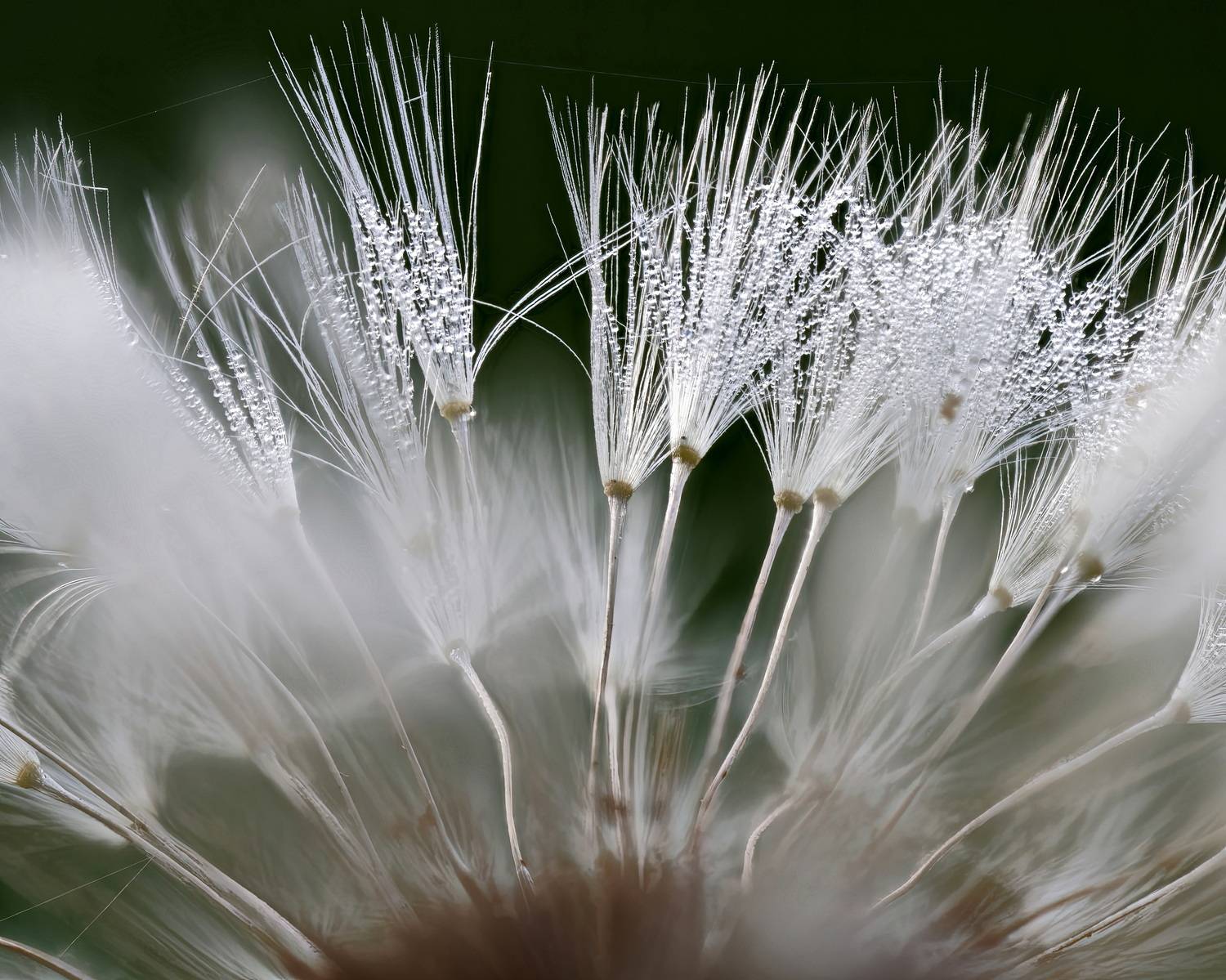 , Кузнецов Дмитрий