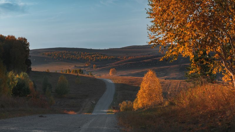 Осень, Алтай, поля, холмы, лес  фото превью