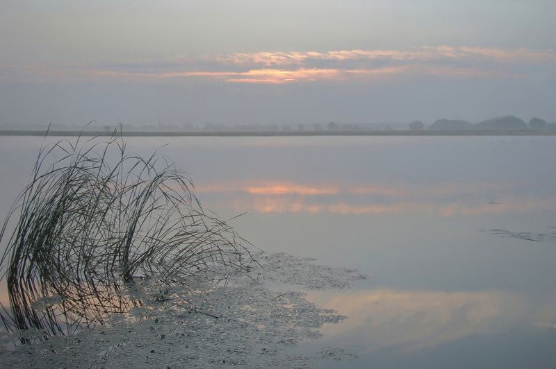 Солнце встаёт фото превью