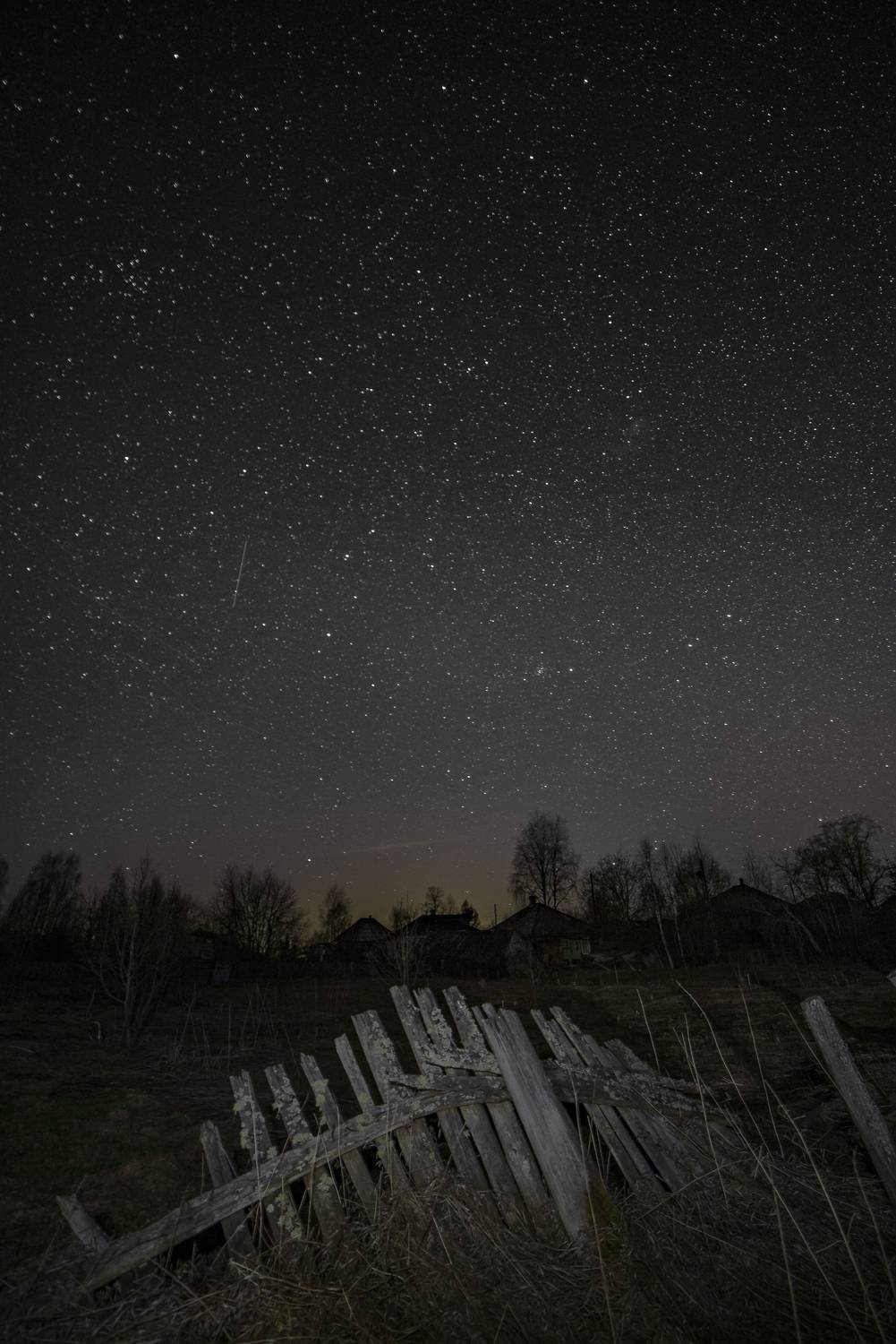 , Шуплецов Алексей