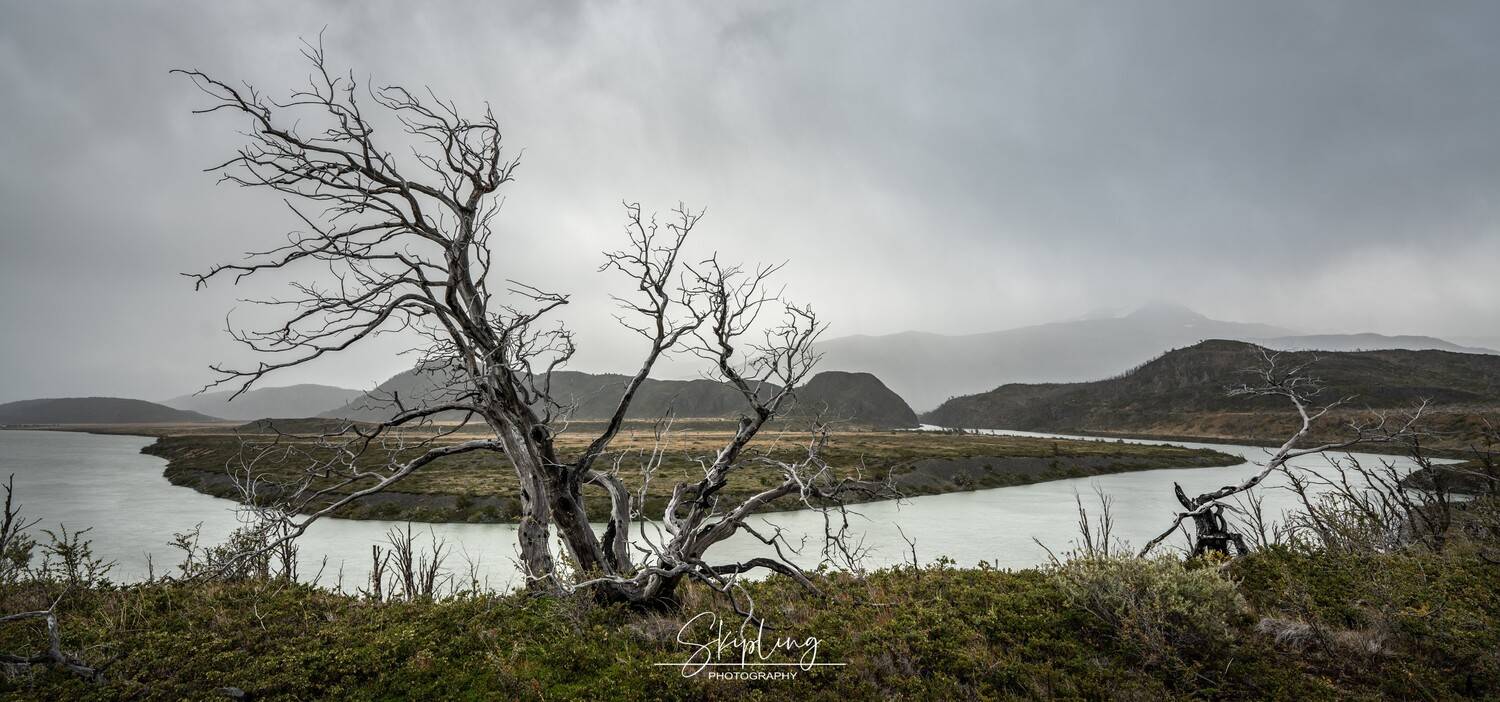 патагония, Ганюшкин Владимир