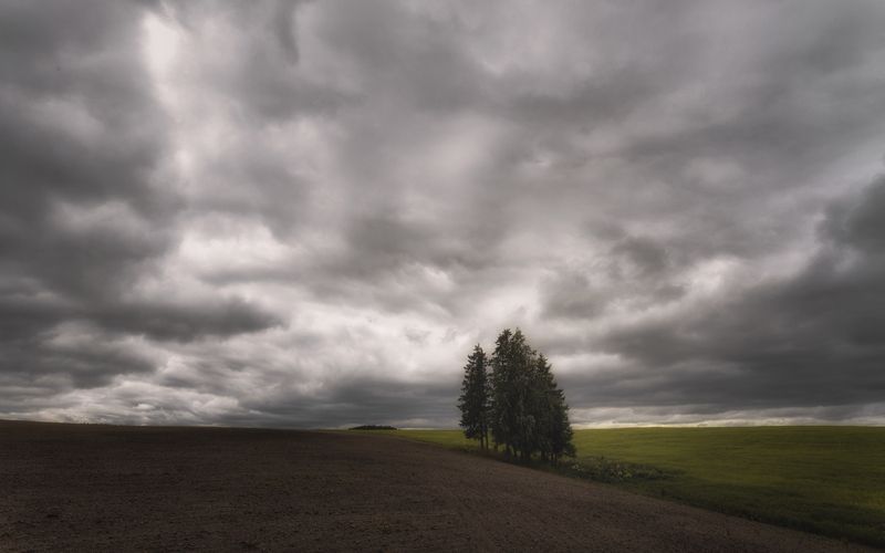 +++ фото превью