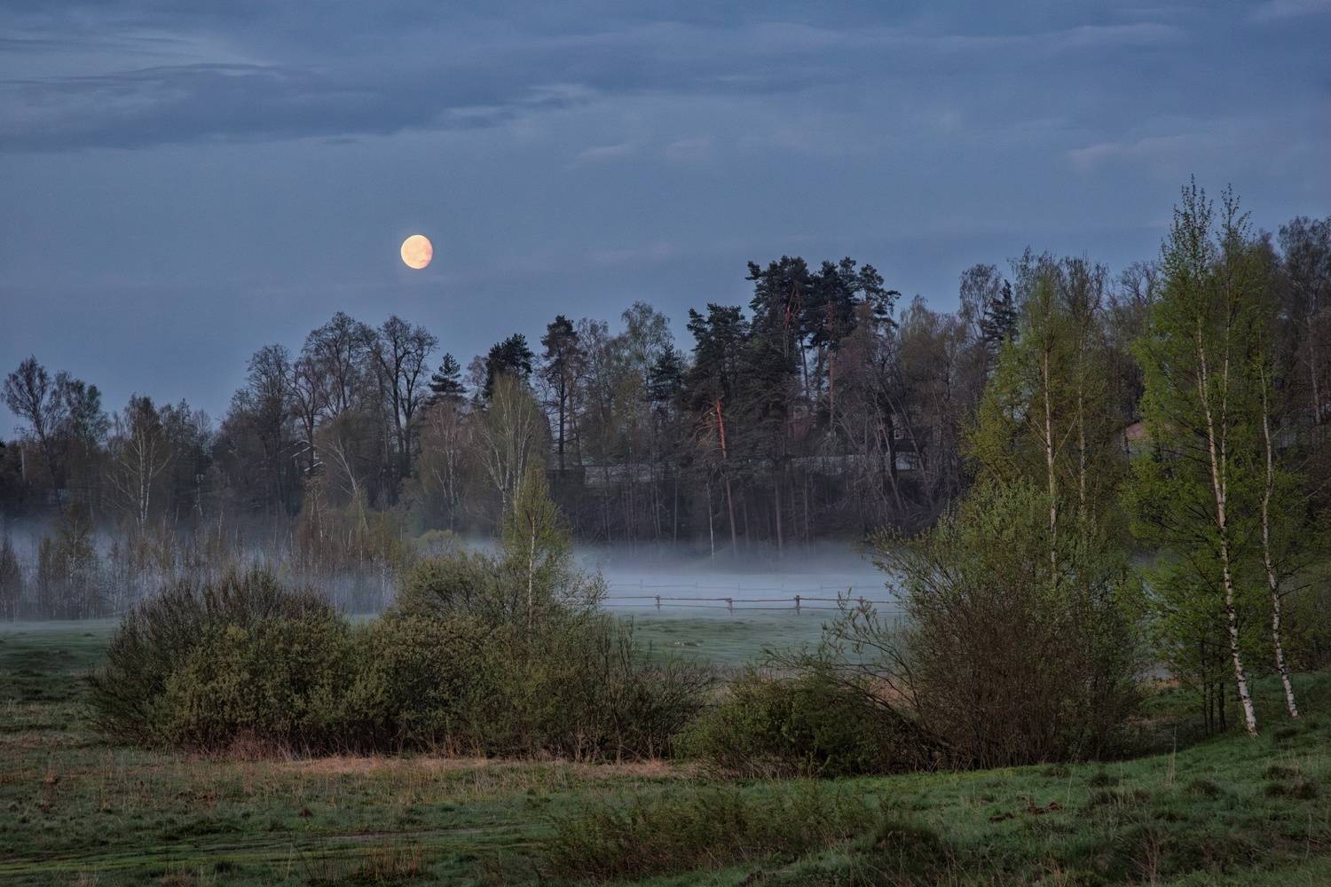 , Евгений Ерохин