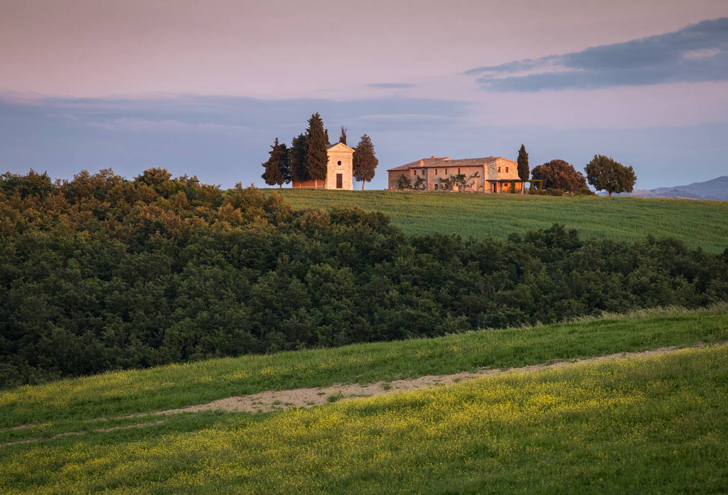 , Алекс Римский