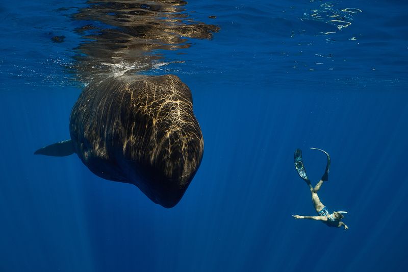 *** фото превью