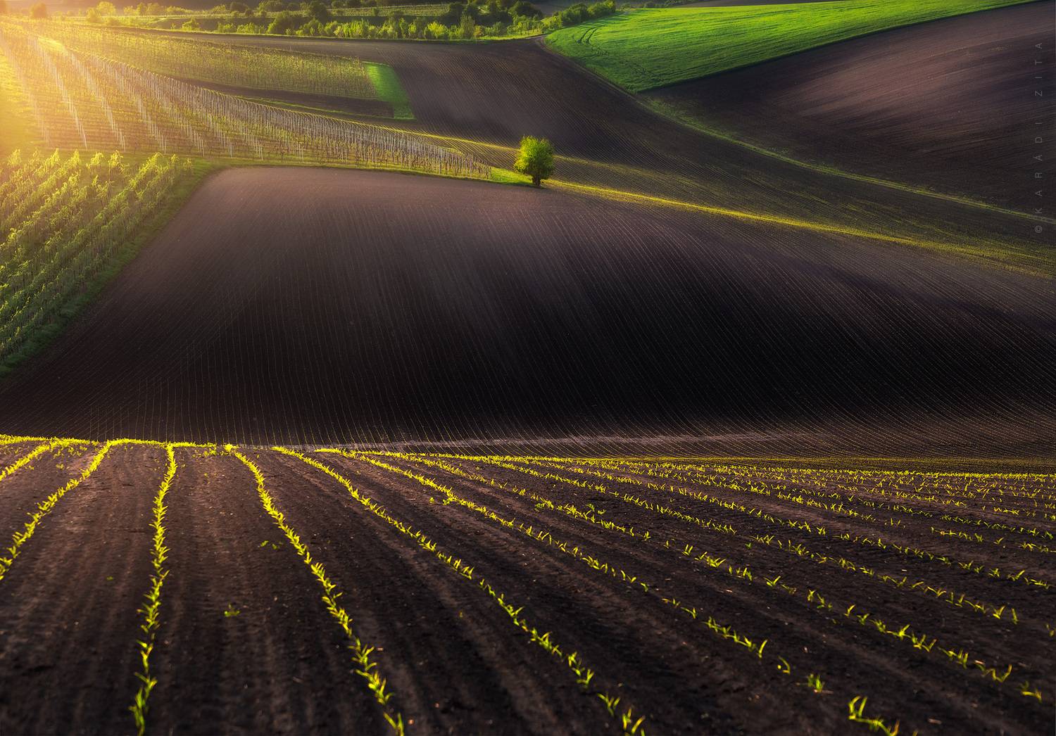 czech, moravia, landscape, green, rollinghills, trees, land, fields, agriculture, europe, lights,, Kar&aacute;di Zita
