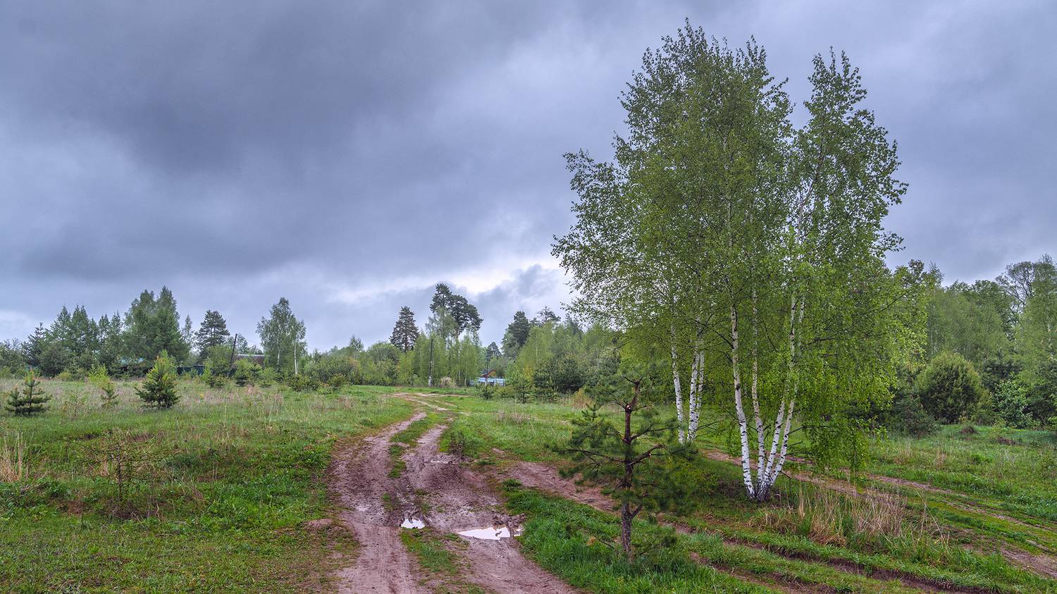 , Андреев Николай