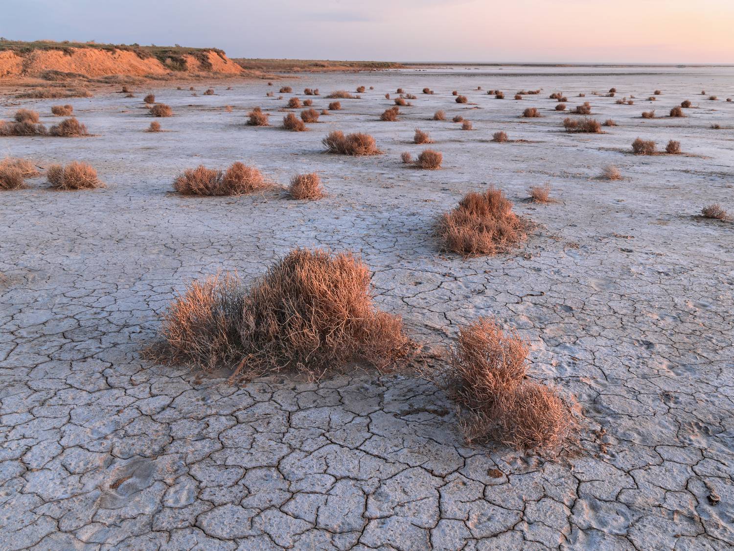 Эльтон, Волгоградская область, Светлана Грянкина