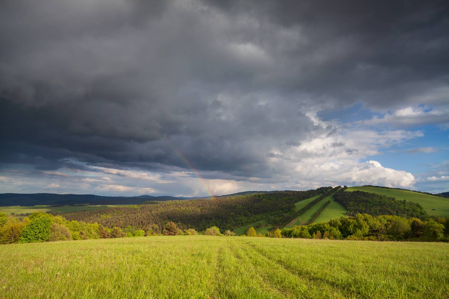 ,  Mirosław Pruchnicki