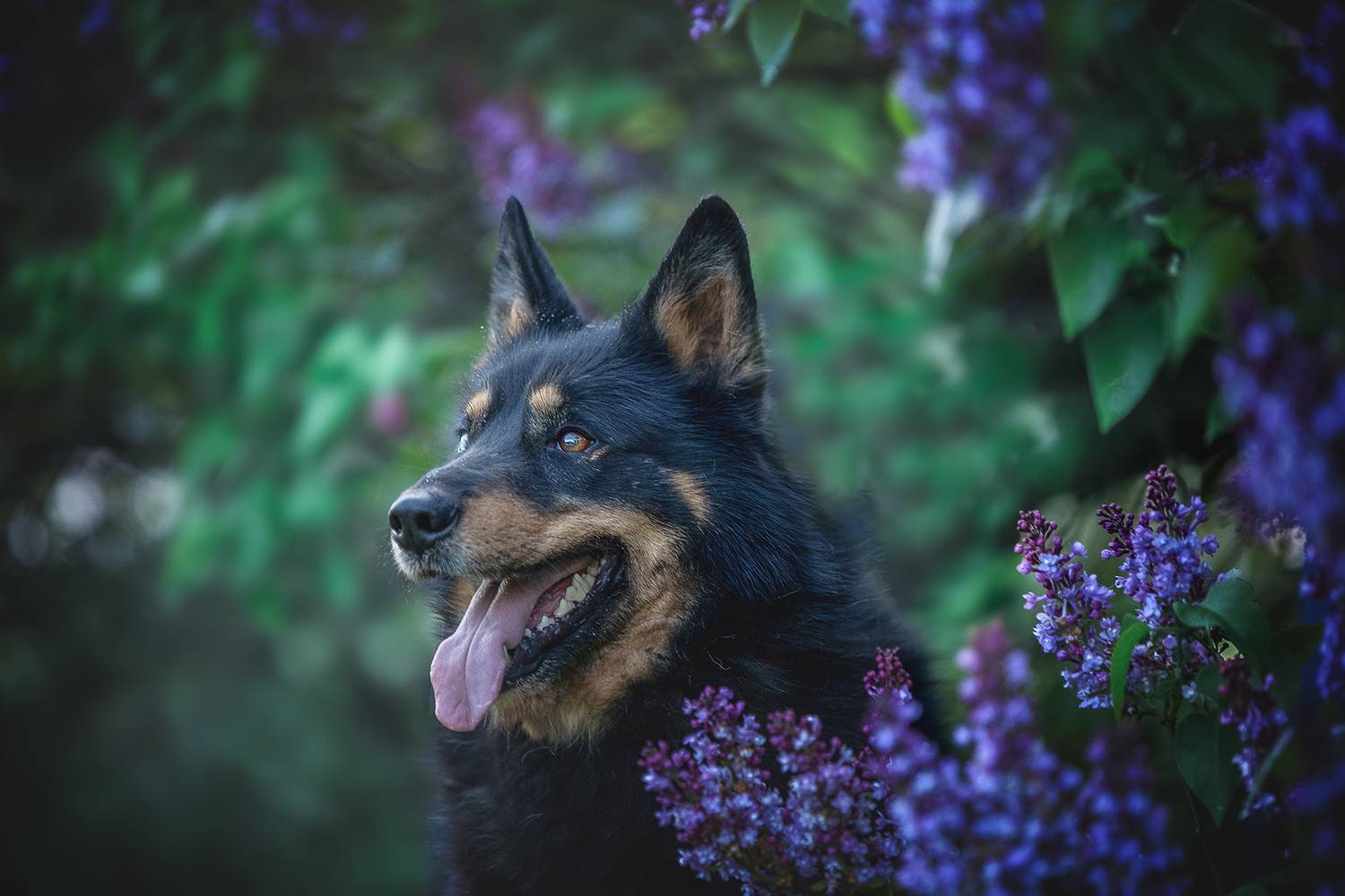 , Елена Самусенкова