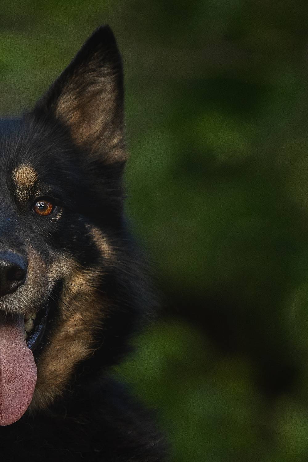 , Елена Самусенкова